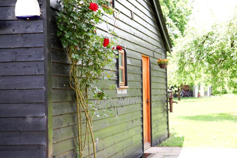 Wilderness B&B 3 Self Contained Rooms Nr Sissinghurst Headcorn Esterno foto